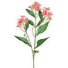 Planta Artificial Haste Flor Do Campo 6cm Coral Grillo