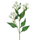 Planta Artificial Haste Flor Do Campo 6cm Creme Grillo