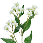 Planta Artificial Haste Flor Do Campo 6cm Creme Grillo