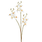 Planta Artificial Haste Flores 9cm Branco Grillo