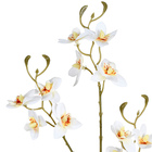 Planta Artificial Haste Flores 9cm Branco Grillo