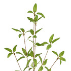Planta Artificial Haste Folhas 4cm Verde Grillo