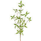 Planta Artificial Haste Folhas 4cm Verde Grillo