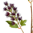 Planta Artificial Haste Frutas Silvestres 84X17cm Grillo