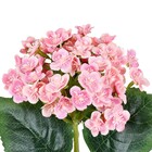 Planta Artificial Haste Hortensia 10cm Rosa Grillo