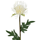 Planta Artificial Haste Licospermum 56X11cm Grillo