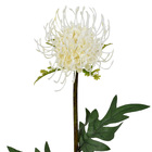 Planta Artificial Haste Licospermum 56X11cm Grillo