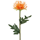 Planta Artificial Haste Licospermum 56X11cm Grillo