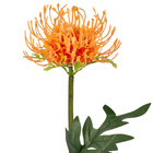 Planta Artificial Haste Licospermum 56X11cm Grillo