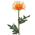 Planta Artificial Haste Licospermum 56X11cm Grillo