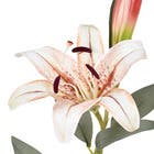 Planta Artificial Haste Lirio 16cm Creme Grillo