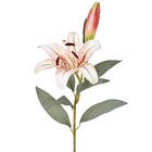 Planta Artificial Haste Lirio 16cm Creme Grillo