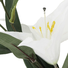 Planta Artificial Haste Lírio Tigre Creme 86x19cm Grillo