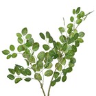 Planta Artificial Haste Lotus 14cm Verde Grillo
