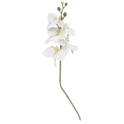 Planta Artificial Haste Orquídea Branca 43x15cm Grillo