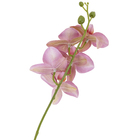 Planta Artificial Haste Orquídea Lavanda 43x15cm Grillo