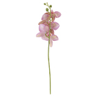 Planta Artificial Haste Orquídea Lavanda 43x15cm Grillo
