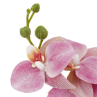 Planta Artificial Haste Orquídea Lavanda 43x15cm Grillo