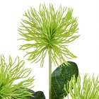 Planta Artificial Haste Ouriço 66X10cm Grillo
