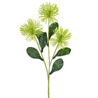 Planta Artificial Haste Ouriço 66X10cm Grillo