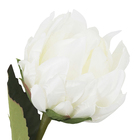 Planta Artificial Haste Protea Cetim Rosa 42x10cm Grillo