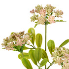 Planta Artificial Haste Suculentas 56X20cm Grillo