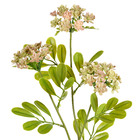 Planta Artificial Haste Suculentas 56X20cm Grillo