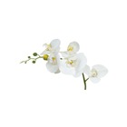 Planta Artificial Hastes Orquídea Phalaenopsis 65cm Branca Florarte