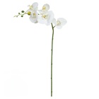 Planta Artificial Hastes Orquídea Phalaenopsis 65cm Branca Florarte