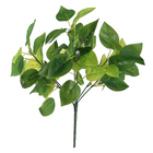Planta Artificial Jiboia 28cm Verde com creme Florarte