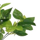 Planta Artificial Jiboia 28cm Verde com creme Florarte