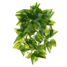 Planta Artificial Jiboia Pendente Verde Florarte