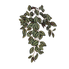 Planta Artificial Lambari Pendente 55cm