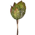 Planta Artificial Magnólia 40x12x40cm Verde Grillo