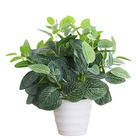 Planta Artificial Mosaico