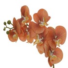 Planta Artificial Orquidea Phalaenopsis 80cm Marrom Florarte