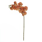 Planta Artificial Orquidea Phalaenopsis 80cm Marrom Florarte