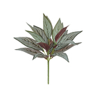 Planta Artificial Peacock Real 40cm
