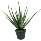 Planta Artificial Permanente Valence Aloe Babosa 55cm