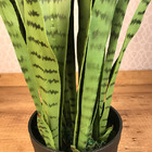 Planta Artificial Permanente Valence Espada De São Jorge 90cm