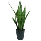 Planta Artificial Permanente Valence Espada De São Jorge 90cm