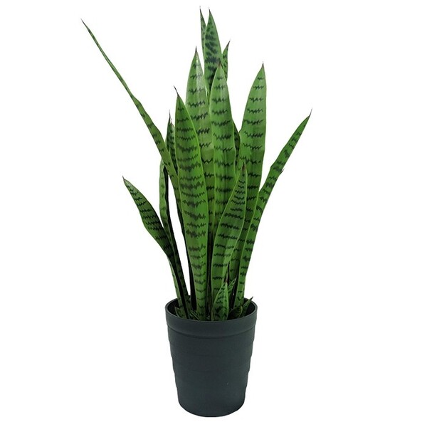 Planta Artificial Permanente Valence Espada De São Jorge 90cm