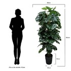 Planta Artificial Permanente Valence Monstera Costela De Adão