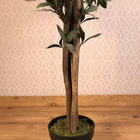 Planta Artificial Permanente Valence Oliveira 160cm