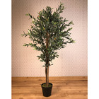 Planta Artificial Permanente Valence Oliveira 160cm