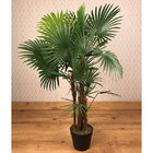Planta Artificial Permanente Valence Palma 90cm