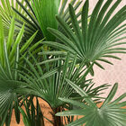 Planta Artificial Permanente Valence Palma 90cm