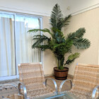 Planta Artificial Permanente Valence Palmeira Areca 230cm