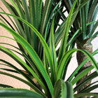 Planta Artificial Permanente Valence Pandanus 153cm