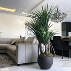 Planta Artificial Permanente Valence Pandanus 153cm